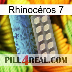 Rhinocéros 7 34